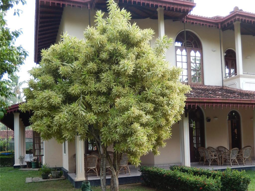 Villa Ranmenika อาฮังกัลลา ภายนอก รูปภาพ